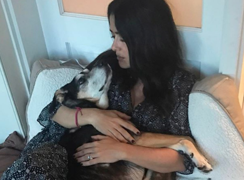 Salma Hayek, Dog Salma Hayek, Dog